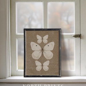 May include: A framed print of four white butterflies on a brown background. The print is in a black frame and is sitting on a white windowsill. The text "NORTH PRINTS art collective" is below the frame.