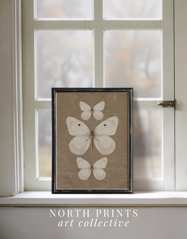 May include: A framed print of four white butterflies on a brown background. The print is in a black frame and is sitting on a white windowsill. The text "NORTH PRINTS art collective" is below the frame.