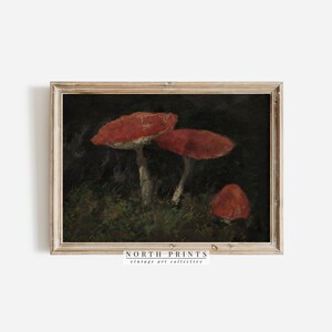 May include: A vintage painting of three red mushrooms with white stems on a dark background. The painting is framed in a light wood frame. The text "NORTH PRINTS vintage art collective" is at the bottom of the frame.
