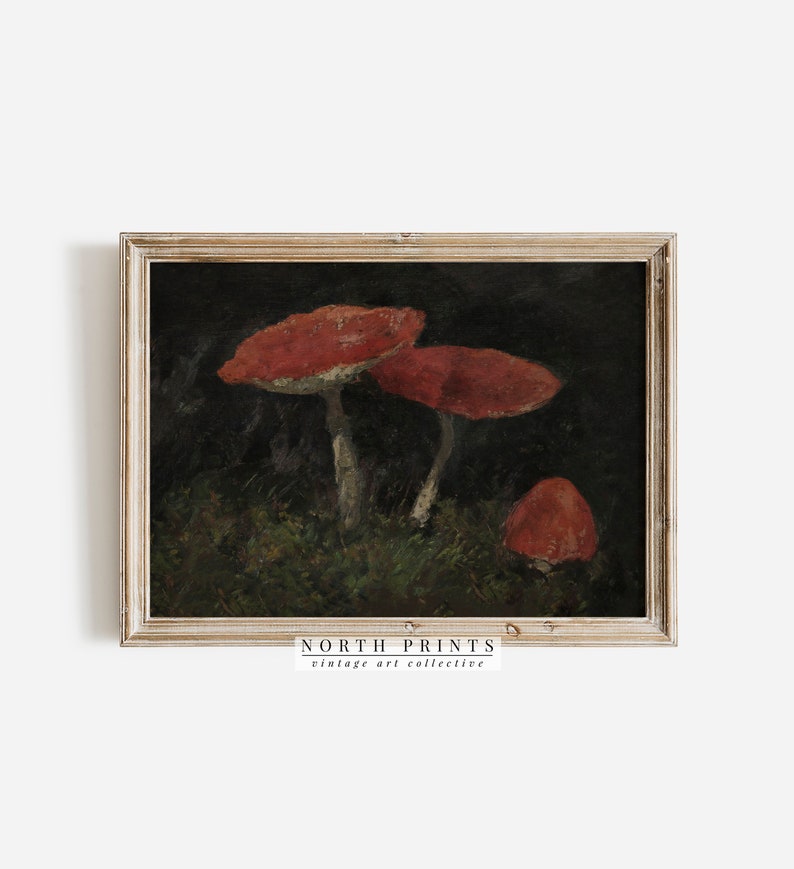 May include: A vintage painting of three red mushrooms with white stems on a dark background. The painting is framed in a light wood frame. The text "NORTH PRINTS vintage art collective" is at the bottom of the frame.