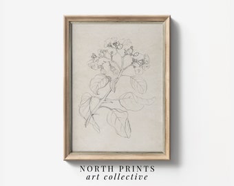 Neutral Simple Antique Floral Sketch Art PRINTABLE | Botanical Drawing Wall Art DIGITAL Print | North Prints Art SK-353