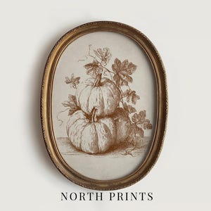 Schizzo di zucca rustica, decorazione murale autunnale per cottage, stampa artistica digitale per la cucina autunnale, download North Prints A-122