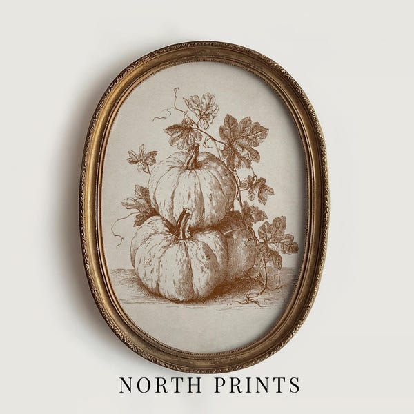 Rustic Pumpkin Sketch, Autumn Cottage Wall Decor, Fall Kitchen Art Printable Digital Art Download North Prints A-122