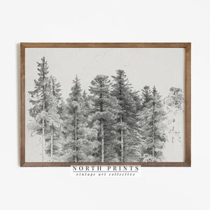 Antique Pine Tree Forest Sketch | Neutral Winter Sketch Art | PRINTABLE Digital Download | 278
