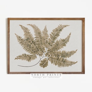 Antique Botanical Painting | Vintage Fern Print | Country Farmhouse Decor Digital PRINTABLE #234