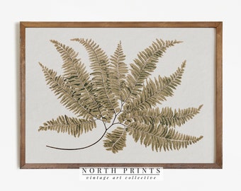 Antique Botanical Painting | Vintage Fern Print | Country Farmhouse Decor Digital PRINTABLE #234