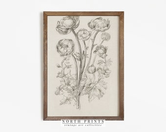 Antique Flower Sketch | Rustic Botanical Drawing Country Decor | PRINTABLE Digital Art | 658