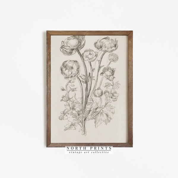 Antique Flower Sketch | Rustic Botanical Drawing Country Decor | PRINTABLE Digital Art | 658