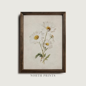 Op de afbeelding: Een ingelijste print met een aquarel illustratie van madeliefjes. De madeliefjes hebben witte bloemblaadjes en gele centra, met groene bladeren en stelen. De lijst is donkerbruin en de tekst "NORTH PRINTS" staat onderaan.