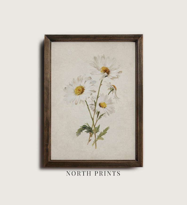Op de afbeelding: Een ingelijste print met een aquarel illustratie van madeliefjes. De madeliefjes hebben witte bloemblaadjes en gele centra, met groene bladeren en stelen. De lijst is donkerbruin en de tekst "NORTH PRINTS" staat onderaan.
