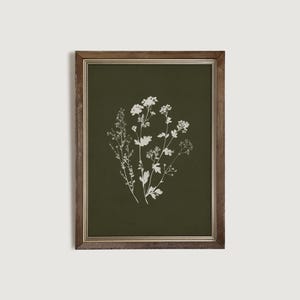 May include: A framed botanical print featuring white floral illustrations on a dark green background. The artwork is encased in a brown wooden frame, creating a vintage aesthetic. The print showcases detailed depictions of various plant species.
