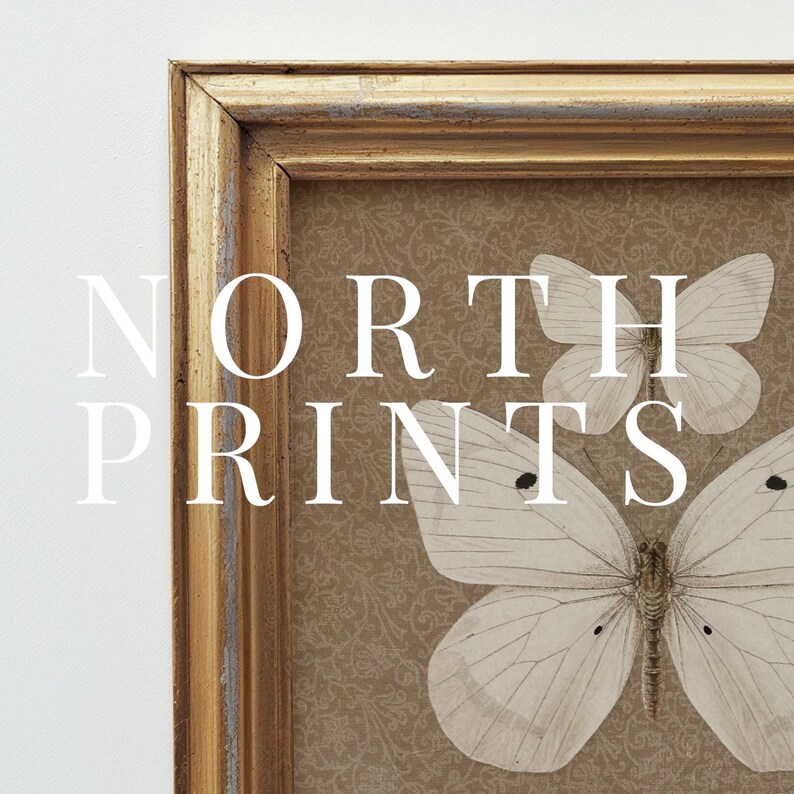 May include: A framed print of two white butterflies on a brown patterned background. The frame is gold with a distressed finish. The text "NORTH PRINTS" is visible in the image.