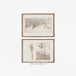 May include: Two framed watercolor prints of trees and branches. The top print shows a branch with leaves and fruit. The bottom print shows three trees with a light blue background. The prints are framed in a light brown wood frame. The bottom print has the text "NORTH PRINTS vintage art collective" at the bottom.