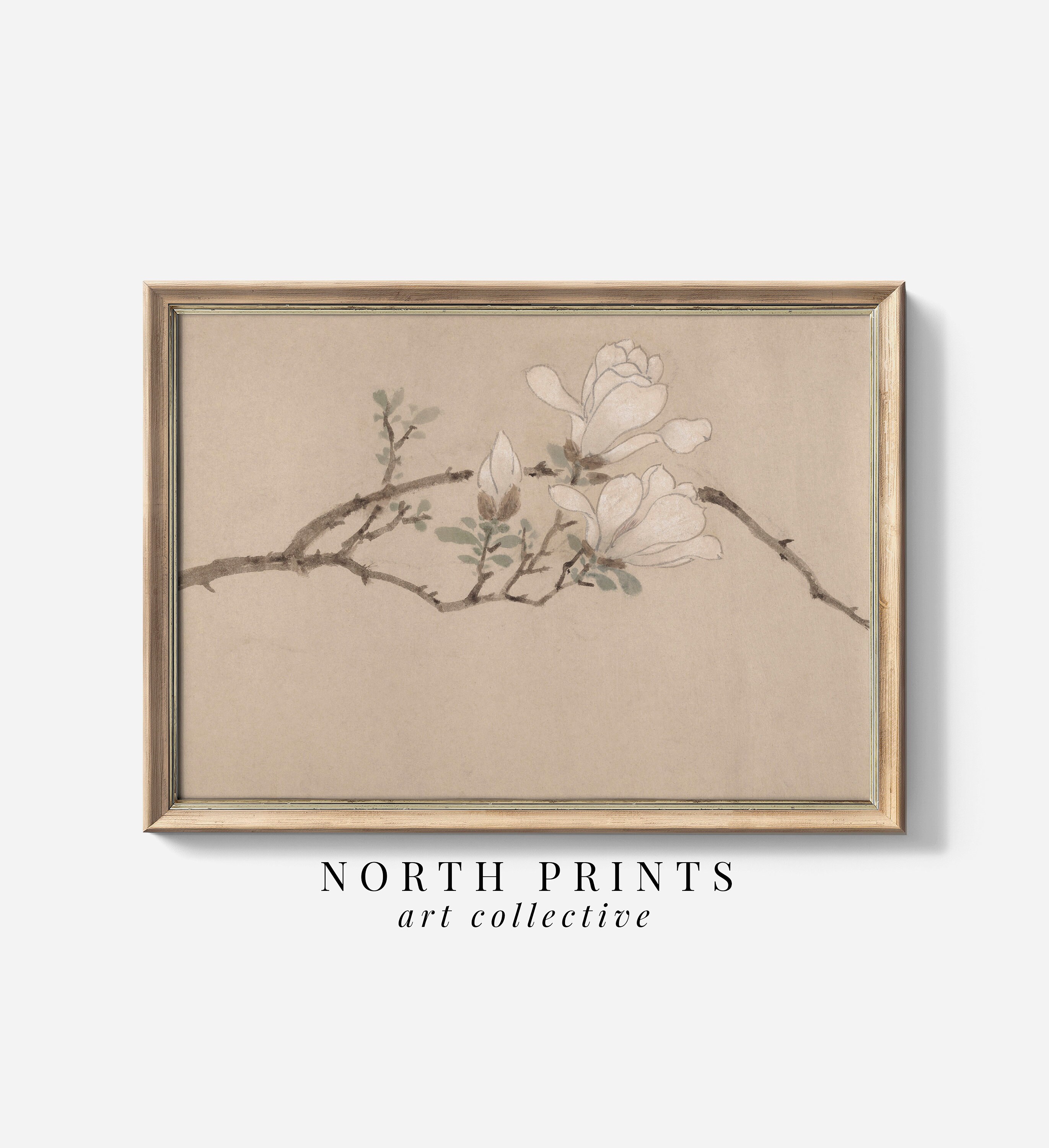 Vintage Magnolia Painting PRINTABLE Art | Neutral Antique Botanical Farmhouse Digital Download North Prints 6-96