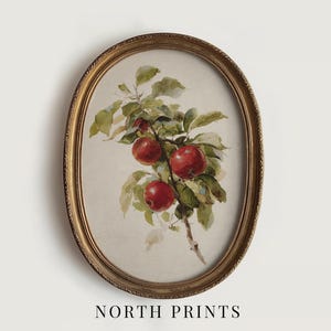 Peut inclure: Impression ovale encadr&eacute;e avec une peinture &agrave; l'aquarelle de pommes rouges sur une branche avec des feuilles vertes. Le cadre est dor&eacute; avec un motif textur&eacute;. Le texte "NORTH PRINTS" est imprim&eacute; en bas.