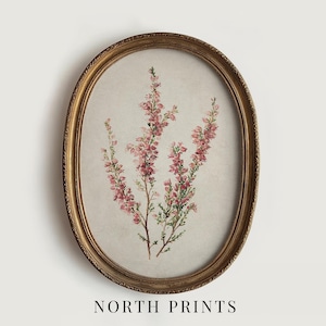 May include: An oval framed print featuring a botanical illustration of pink flowering branches. The artwork is set against a neutral background and framed in a gold-colored, ornate oval frame. The text "NORTH PRINTS" is printed at the bottom.