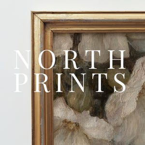 May include: A framed painting of white flowers with a gold frame. The text "NORTH PRINTS" is visible in the lower left corner of the image.