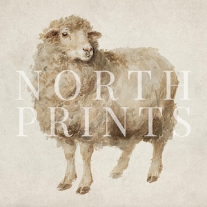 May include: Watercolor illustration of a sheep in shades of beige and brown. The sheep is standing and facing to the right, with the text "NORTH PRINTS" overlaid on the image. The artwork has a vintage, rustic aesthetic.