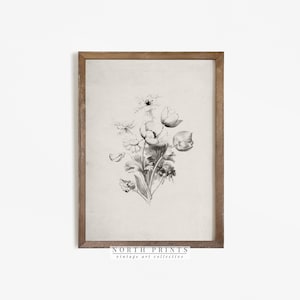 Antique Neutral Flower Sketch | Farmhouse Floral Nursery Art Print | Digital PRINTABLE | 1083