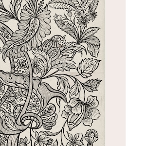 K&ouml;nnte beinhalten: Schwarzwei&szlig;-Illustration eines floralen Designs mit filigranen Details. Das Design zeigt Bl&auml;tter, Bl&uuml;ten und Stiele.