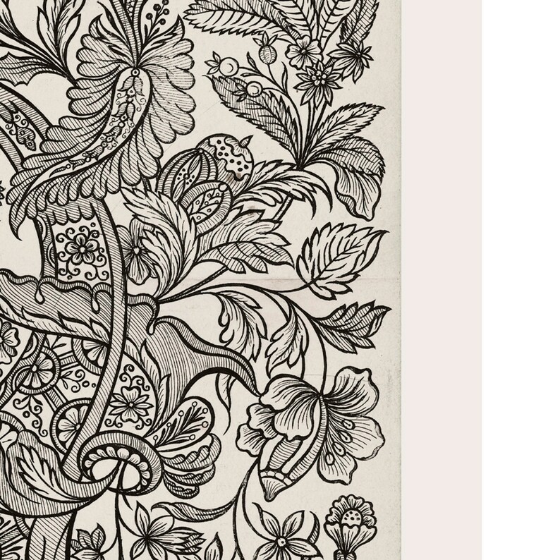 K&ouml;nnte beinhalten: Schwarzwei&szlig;-Illustration eines floralen Designs mit filigranen Details. Das Design zeigt Bl&auml;tter, Bl&uuml;ten und Stiele.