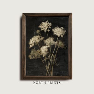 Könnte beinhalten: Gerahmter Druck mit einer botanischen Illustration von getrockneten weißen Blumen vor dunklem Hintergrund. Das Kunstwerk befindet sich in einem Holzrahmen und enthält den Text "NORTH PRINTS" unten.