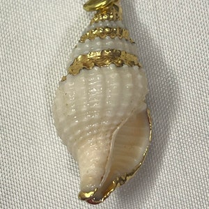 Vintage White Spiraled Conch Shell w/Gold Hand Painted Accents H-1.2&#39;&#39;