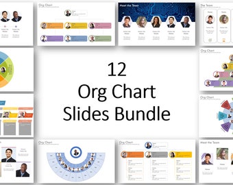 Team and Organization PowerPoint Slides Bundle