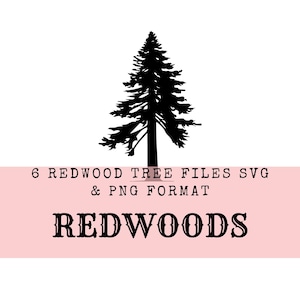 Redwood Tree SVG Digital Downloads Evergreen Trees Redwood Tree PNG Sequoia Tree Download Forest SVG Tree svg Northern California png cricut
