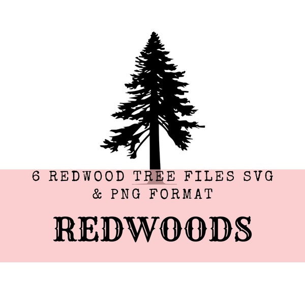 Redwood Tree SVG Digitale Downloads Groenblijvende bomen Redwood Tree PNG Sequoia Tree Download Forest SVG Tree svg Noord-Californië png cricut