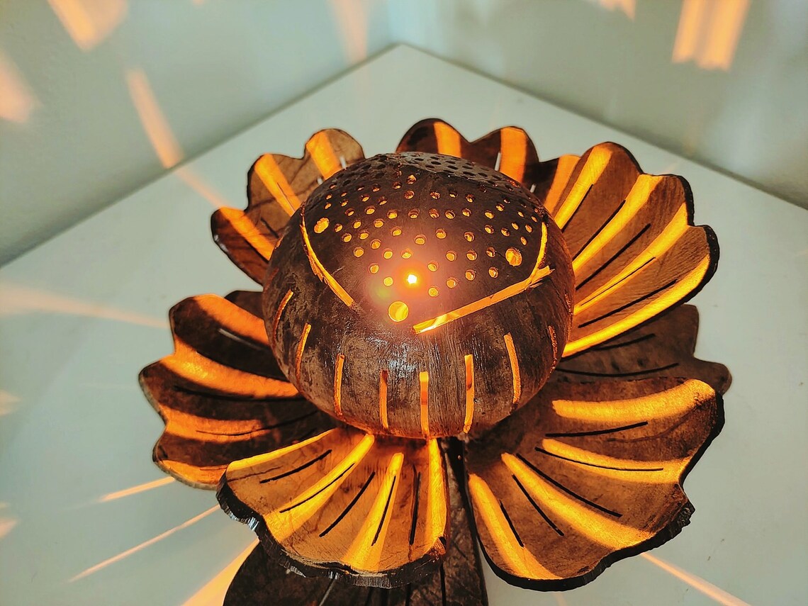 Hand Made Coconut Shell Lamp from Thailand Etsy