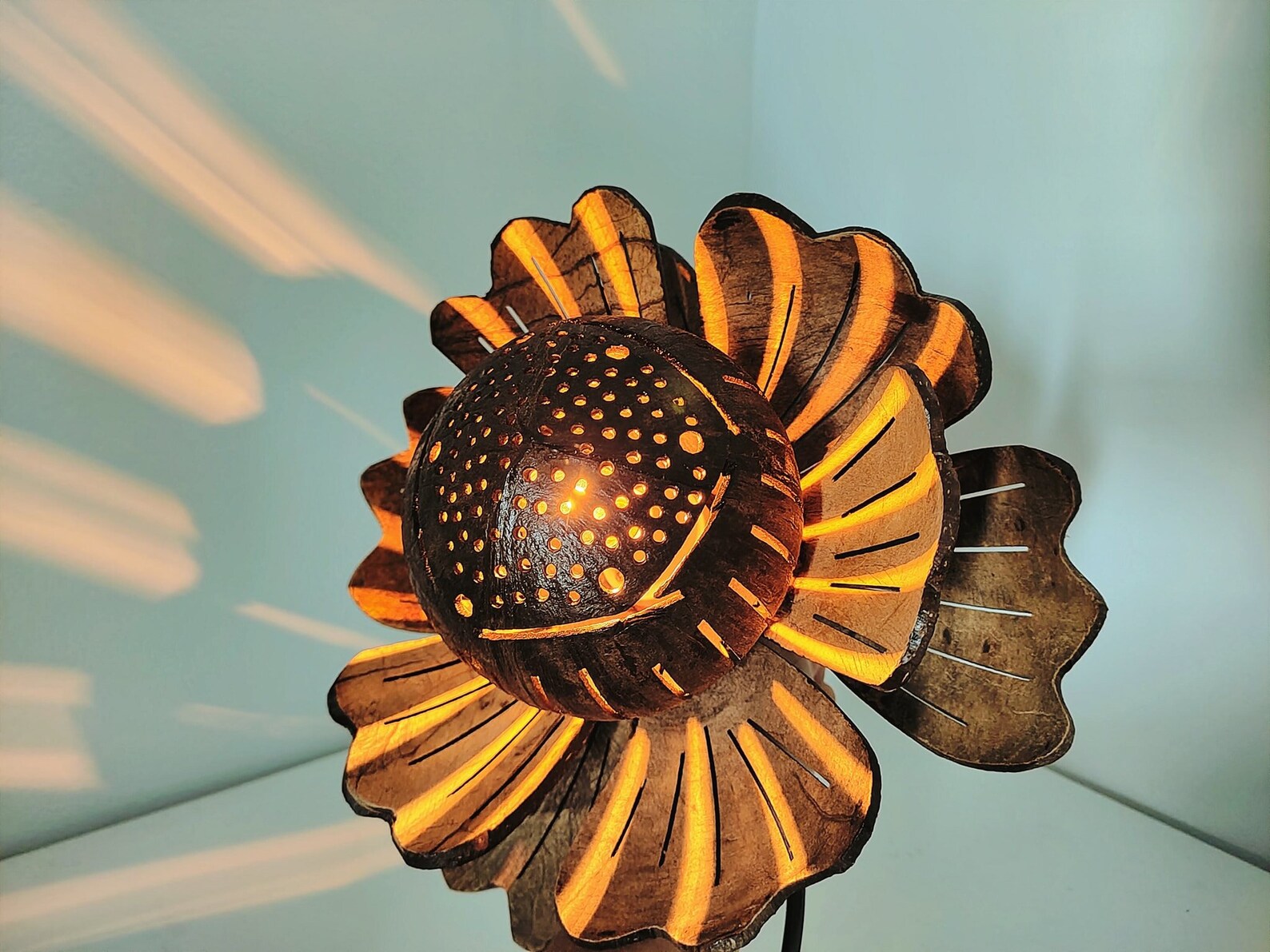 Hand Made Coconut Shell Lamp from Thailand Etsy