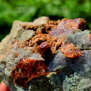 May include: A close-up of a rough, gray rock with embedded orange and red crystals. The crystals are clustered together and have a shiny, translucent appearance.