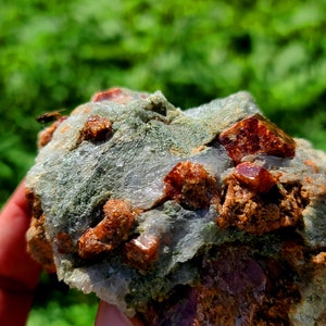 May include: A close-up of a rock with several red crystals embedded in it. The rock is gray and has a rough texture.