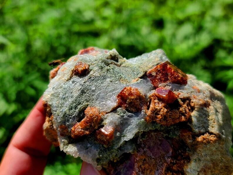 May include: A close-up of a rock with several red crystals embedded in it. The rock is gray and has a rough texture.