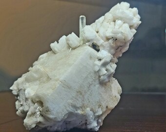 May include: A white crystal cluster with a clear, elongated crystal in the center. The cluster is on a dark brown surface.