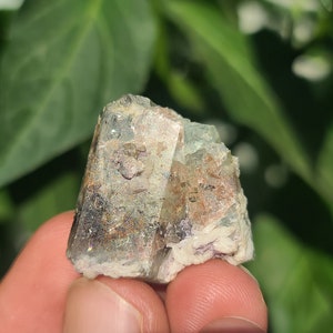 62 Carat Aquamarine  Crystal Combine With Rare Tantalite and Rutiliated Aqumarine Terminated Twin Crystals With Muscovite From Shigar Vally