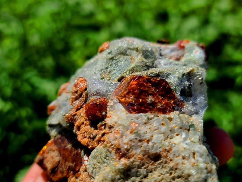 May include: A close-up of a rock with several orange-brown crystals embedded in it. The crystals are shiny and have a rough texture.