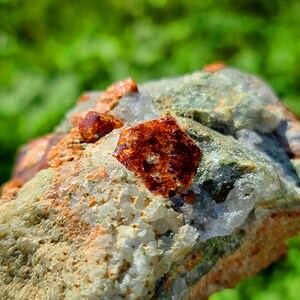 May include: A close-up of a rough, gray rock with several small, reddish-brown crystals embedded in it. The crystals have a shiny, translucent appearance.