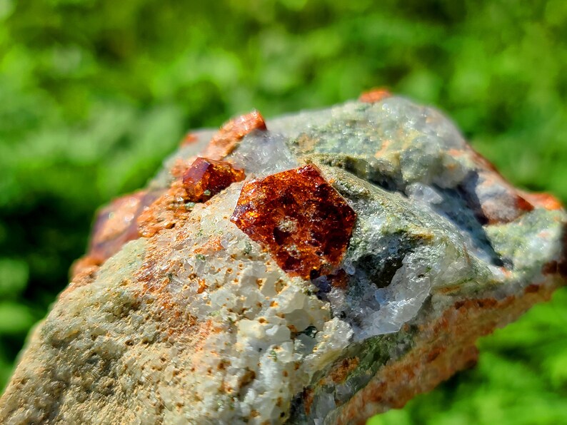 May include: A close-up of a rough, gray rock with several small, reddish-brown crystals embedded in it. The crystals have a shiny, translucent appearance.