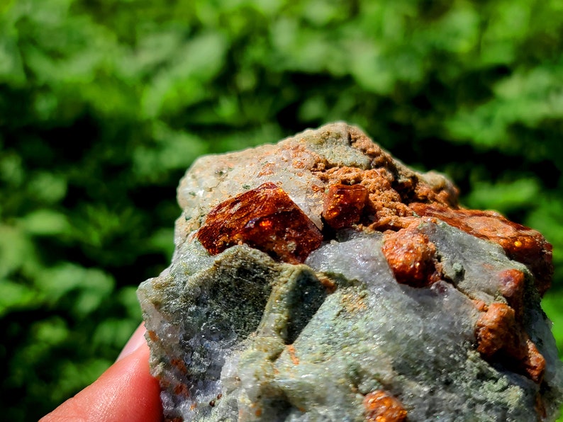 May include: A close-up of a rock with several orange-red crystals embedded in it. The rock is surrounded by a green, out-of-focus background.