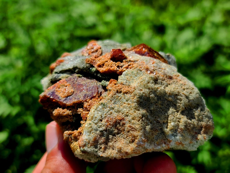 May include: A close-up of a rough, gray rock with embedded red crystals. The rock is being held in a hand.