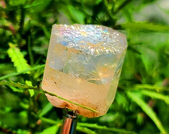 231 Carat Topaz Crystal Hony Colour Terminated Topaz Crystals Top Quality From Shigar Valley
