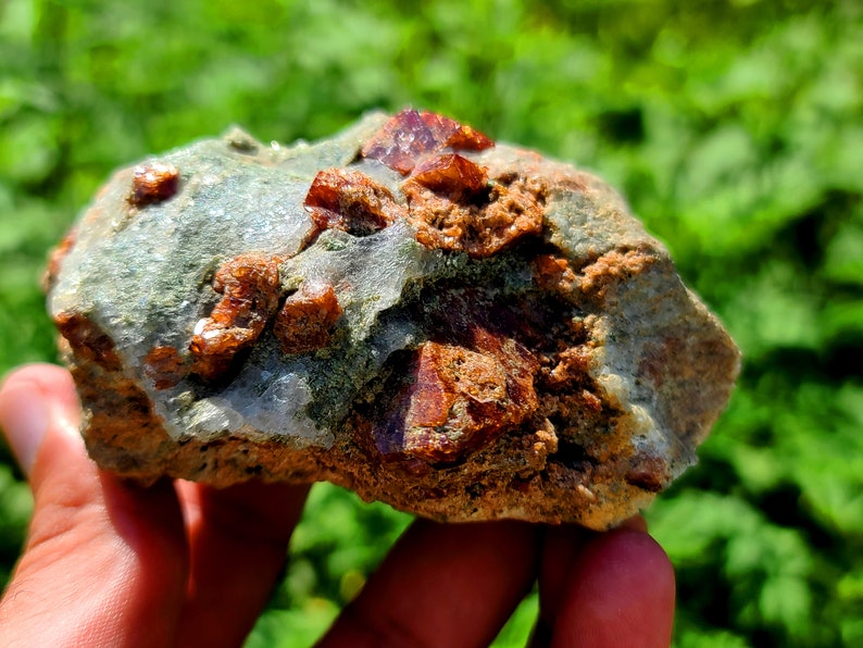 May include: A close-up of a rough, brown rock with embedded red crystals. The rock is being held in a hand.