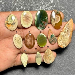 以下が含まれることがあります： さまざまな形と色の12個の研磨された宝石のコレクション。石には、ベージュと茶色から緑とオレンジまで、さまざまな色合いを示す、楕円形、涙滴型、不規則な形が含まれます。各石には、ユニークなパターンとテクスチャがあります。