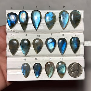 May include: A collection of teardrop-shaped labradorite gemstones, numbered 1 through 16, displayed on a white surface. The stones exhibit a range of colors, including blues, greens, and grays. A U.S. nickel is included for size comparison.