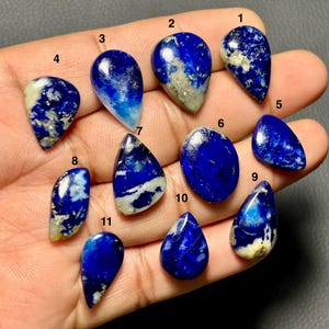Puede incluir: Una colección de once piedras preciosas de lapislázuli pulidas en varias formas, incluyendo lágrimas, óvalos y formas irregulares. Las piedras muestran un color azul profundo con motas blancas y doradas.
