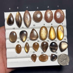 Puede incluir: Una colección de veintiuna piedras preciosas de piedra solar pulidas de varias formas y tamaños, expuestas en una bandeja blanca. Las piedras varían en color, desde dorado hasta marrón oscuro, algunas con un efecto brillante. Se incluye una moneda para comparar el tamaño.