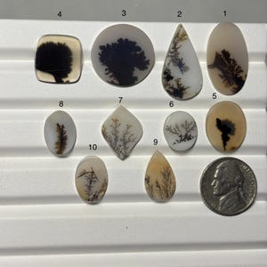 May include: A collection of ten polished dendritic agate gemstones in various shapes, including oval, teardrop, and square. The stones display unique patterns of black and brown inclusions resembling trees or landscapes. A US nickel is included for size reference.
