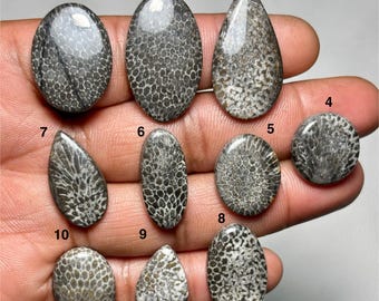Schwarze Fossile Koralle Cabochon A One Qualität 100% natürliche Schwarze Fossile Koralle Lose Edelsteine für die Schmuckherstellung Steine CODE-MM = 666